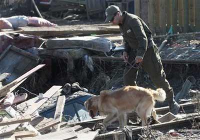 A police officer uses a dog to search for victims in Constitucion, Chile, Tuesday, March 2, 2010. (AP Photo/ Luis Hidalgo)