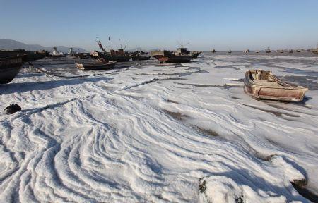 Photo taken on Jan. 13, 2010 shows beautiful scene of sea ice at the seaside in the port city of Lianyuangang, east China's Jiangsu Province after days of cold weather blanketed many parts of the country.(Xinhua/Wang Jianmin)