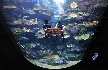 Thai scuba divers dressed in Chinese costumes hold a Chinese banner reading "Happy New Year" at Siam Ocean World in Bangkok February 10, 2010. The Lunar New Year falls on February 14 this year. (Xinhua/Reuters Photo)