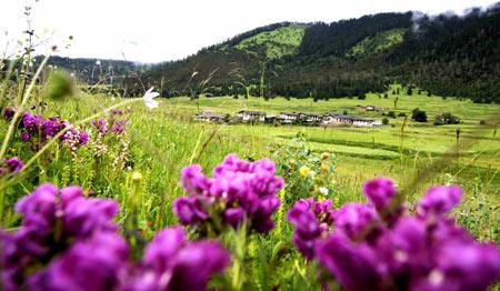 Photo taken on July 15, 2008 shows a view of the mountain areas in Nyingchi Prefecture in southwest China's Tibet Autonomous Region. (Xinhua Photo)