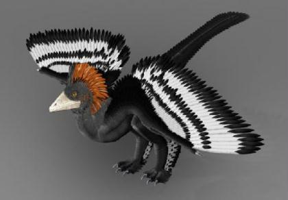 Scientists for the first time decode the full-body color pattern of a 155-million-year-old Anchiornis huxleyi, a kind of small-size beastly-foot class dinosaurs. Scientists of the Beijing Natural History Museum and those on dinasours, modern birds, ancient birds of the Peking University, Yale University, University of Texas and University of Akron finished the project in cooperation.   [Photo Source: Beijing Natural History Museum]