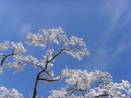 The temperature hovered near zero and a thick mist hung in the air.