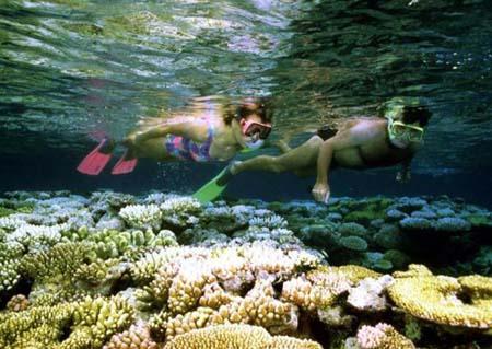 Tourists enjoy a view of the world's largest living reef, The Great Barrier Reef, in northern Queensland in this undated file photo.[Agencies] 