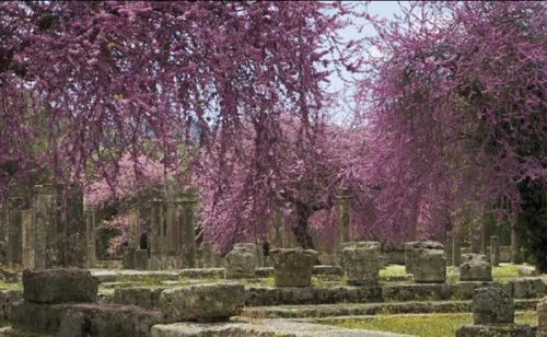 Olympia, Greece (Photo Source: huanqiu.com)