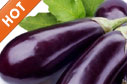 紫色蔬菜更賺錢
