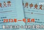 [聚焦三農]解讀2013年中央一號文件