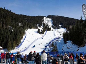 惠斯勒河畔滑雪場<br>比賽項目：高山滑雪