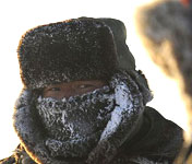 牧民趕著羊群在雪地中覓食