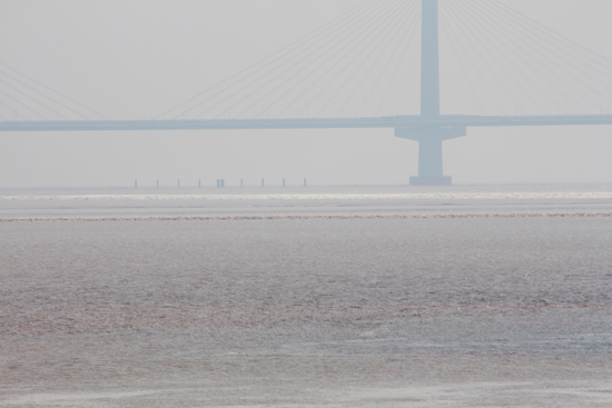 杭州灣上的兩股潮水一先一後分別通過大橋，正在上演追逐賽