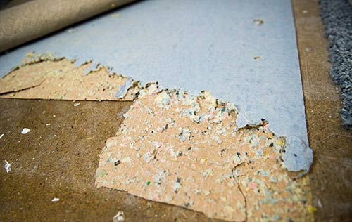 傑西卡·奈特喜歡吃地毯襯墊和傢具填充物，圖為被啃過的地墊。