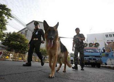 Thai soldier patrols with a bomb sniffing dog around the Supreme court in Bangkok February 26, 2010. REUTERS/Chaiwat Subprasom