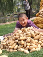 2009年10月10日《大農民》大號土豆