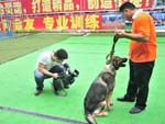 2010年5月8日《金牌訓犬師》拍攝小片