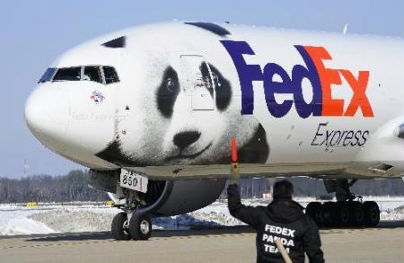 The Federal Express 777 freighter loaded with giant panda Tai Shan is about to take off at the Washington Dulles International Airport in Dulles, Virginia, outside Washington. DC, capital of the U.S., Feb. 4, 2010. The four- and half-year-old male giant panda will fly directly to Chengdu, southwest China. (Xinhua/Jiang Guopeng)