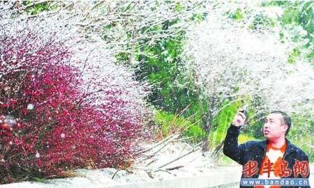 A tourist takes photos at the Jufeng Scenic Zone at Mt. Laoshan, a famous tourist attraction in Qingdao city in east China's Shandong Province on Wednesday, April 14, 2010. [Photo: baodao.cn] 