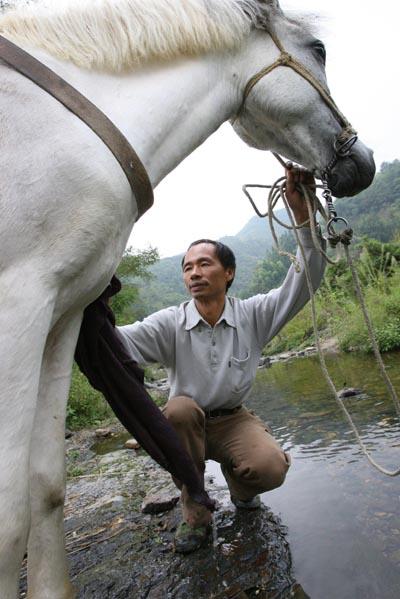 徐校長説：“這匹馬通人性，成了我的好夥伴，每天下山我都會帶它到河邊給它洗澡”。