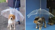 超酷的創意雨傘設計