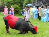 《磕頭送祝福》<br>2013年7月30日