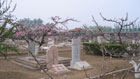 京郊小産權公墓生意興隆 依山傍水有專人打理