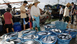 漁民村的海貨非常新鮮