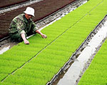 (四)農田水利建設繼續提速