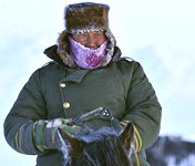 牧民趕著羊群在雪地中覓食