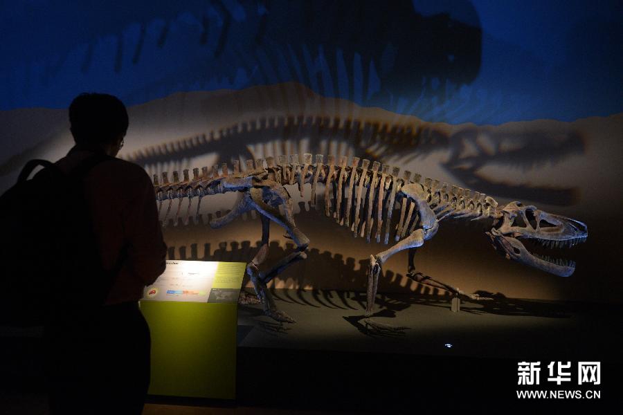 （4）1月23日，媒體工作者在新加坡藝術科學博物館舉行的恐龍展媒體預展上參觀。