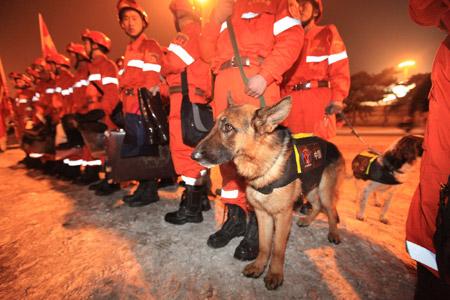 Members of a Chinese rescue team with sniffer dogs are ready to board a plane leaving for quake-hit Haiti, at the Capital International Airport in Beijing, capital of China, Jan. 13, 2010. A 7.0-magnitude earthquake hit Haiti on Tuesday local time, collapsing a hospital and damaging government buildings in its capital city of Port-au-Prince. (Xinhua/Xing Guangli)