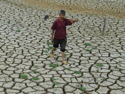 Rising temperatures have caused frequent droughts and sandstorms across the country.