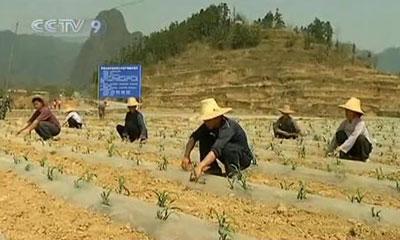 In this region alone, two million people and hundreds of cattle are without enough drinking water. Agricultural production has almost come to a halt. (CCTV.com)