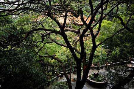 South Putuo Temple is situated at the foot of Wulao Peak at the southern end of Xiamen City, Fujian Province. First built in the Tang Dynasty (618 A.D.-907A.D.), it was restored many times in several following dynasties. Because it is located to the south of Putuo Mountain which is one of China's four holy Buddhist Mountains in Zhejiang Province, it is called South Putuo Temple. As a famous Buddhist sacred spot in southern Fujian Province, this temple plays a very important role both at home and overseas. [Photo: China.org.cn] 