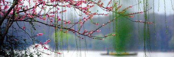 The West Lake - a divinely picturesque spot