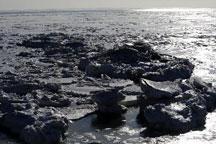 Ice coverage continues to expand in Bohai Sea 