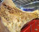 大型木雕《清明上河圖》創造吉尼斯世界紀錄