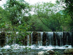 甘山森林公園