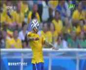 [豪門盛宴]動物世界盃：巴西鸚鵡迎戰荷蘭獅群
