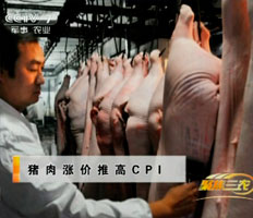 [聚焦三農]豬肉漲價推高CPI