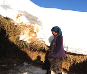 積雪幾近壓垮居民房頂