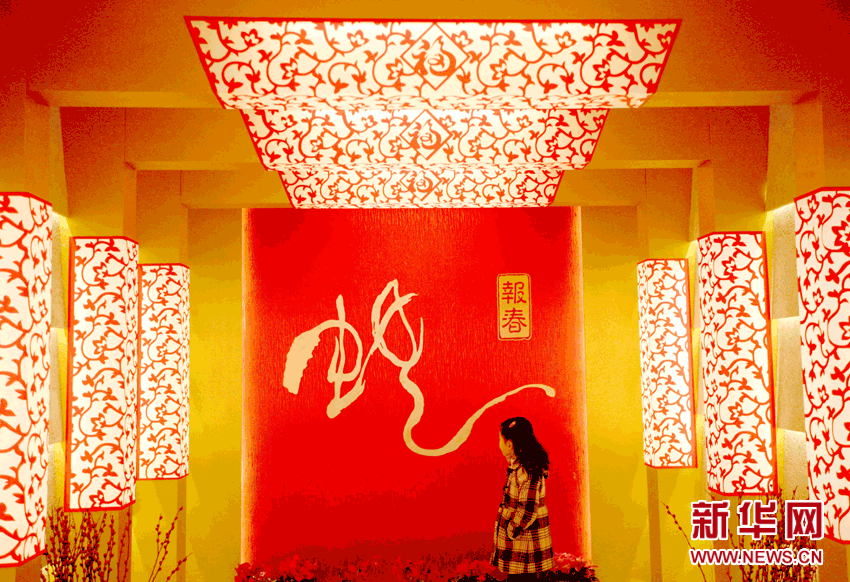 2月11日，參觀者在南京江寧博物館觀看“報春蛇——2013蛇年蛇展”。
