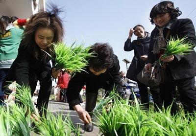 Les familles de Shanghaï prêtes à accueillir les visiteurs de l'Expo