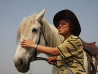 2009年5月8日《影視馬王》張曼玉騎過的馬