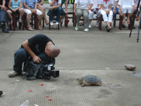 2009年7月8日《老畢釣金龜 》別怕來吧