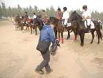 2010年10月19日《郭大俠養馬》拍攝馬隊