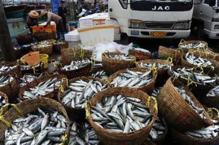 Local fishermen are busy with packing up and uploading large varieties of fresh marine products for outbound sales on the wharf of Tanmen Port, in Qionghai City, south China's Hainan Province, Jan. 23, 2010. The Tanmen Port is in hustle and bustle with large number of fisher boats returning from oceanic fishery with full loads of sea products by taking advantage of the winter seasonal flood, providing the spring festival market with abundant supply of fresh marine products.(Xinhua/Meng Zhongde)