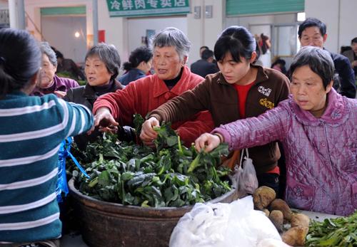  Customers choose vegetables at Fushan market in Nanchang, capital of east China's Jiangxi Province, Feb. 26, 2010. China's consumer price index (CPI), a main gauge of inflation, rose 2.7 percent year on year in February, the National Bureau of Statistics announced Thursday. (Xinhua/Li Gang)