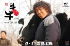 《鬥牛》<br>主演：閻妮、黃渤