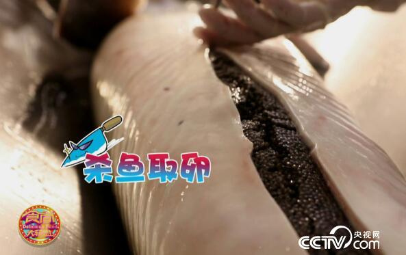 食尚大轉盤：肚子裏藏著20萬的美味大魚 2月24日