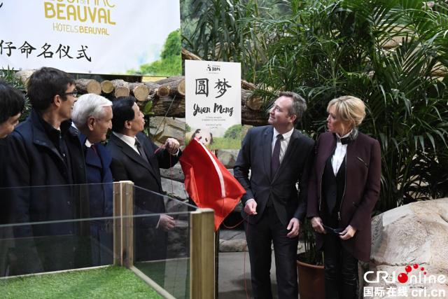 法國第一夫人布麗吉特參加熊貓幼仔“圓夢”命名儀式