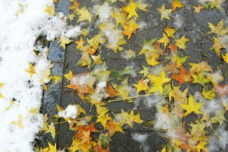 A heavy snow transformed Beijing into a winter wonderland on Oct 31, 2009 giving late-night Halloween goers an extra spook. It is the earliest first snow in Beijing in 22 years. 