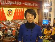 Tian Wei observations about this year´s CPPCC session